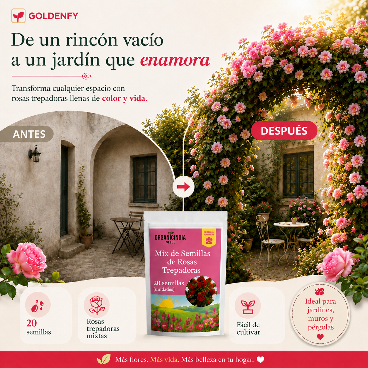 Exclusivas Semillas de Rosa Trepadora x 20 Semillas