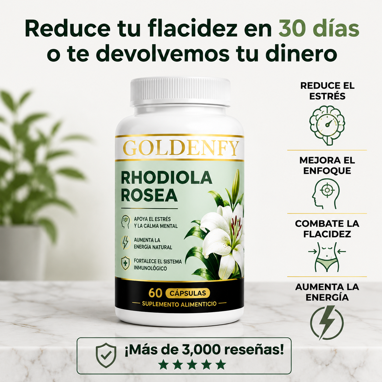 Rhodiola Rosea – Energía, Enfoque y Equilibrio Mental (60 Cápsulas)