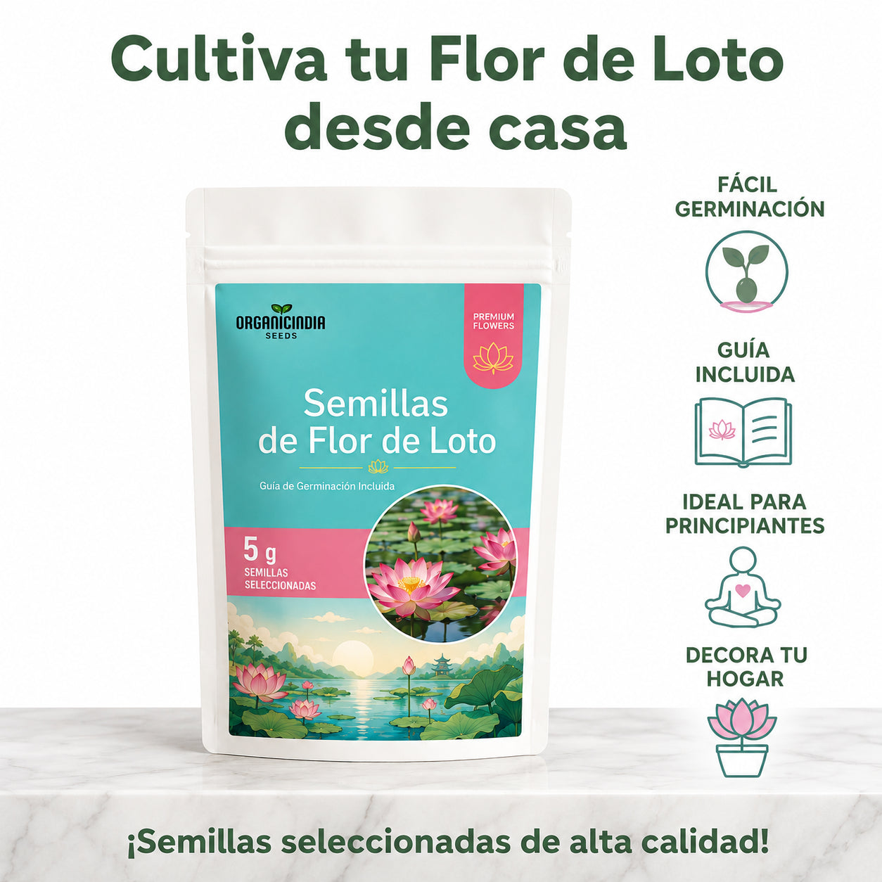 Exclusivas Semillas flor de loto 🪷 Lleva la magia a tu hogar
