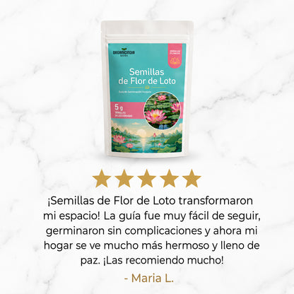 Exclusivas Semillas flor de loto 🪷 Lleva la magia a tu hogar