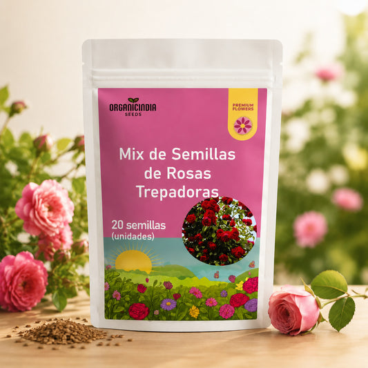 Exclusivas Semillas de Rosa Trepadora x 20 Semillas