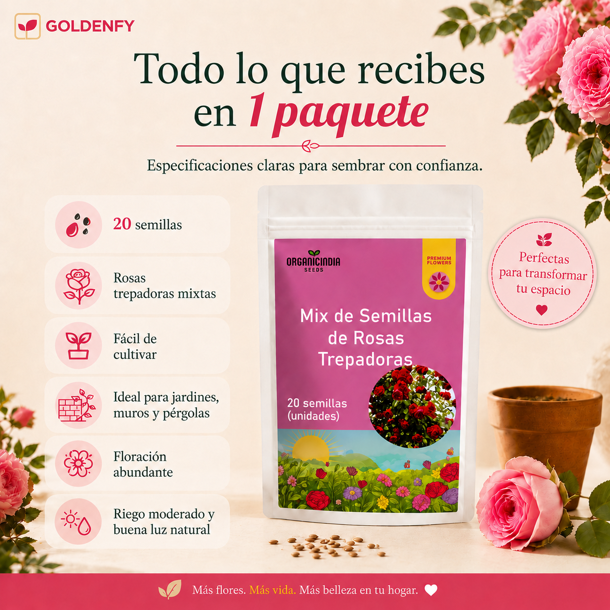 Exclusivas Semillas de Rosa Trepadora x 20 Semillas