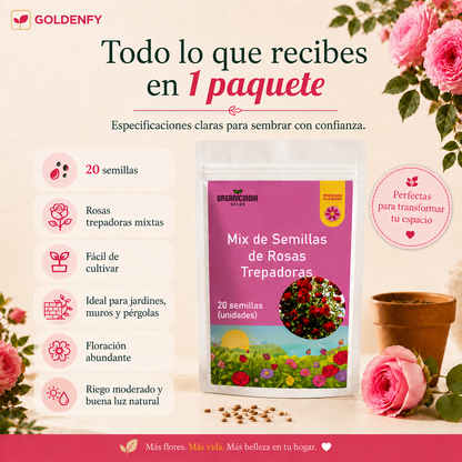 Exclusivas Semillas de Rosa Trepadora x 20 Semillas