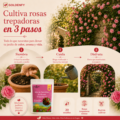 Exclusivas Semillas de Rosa Trepadora x 20 Semillas